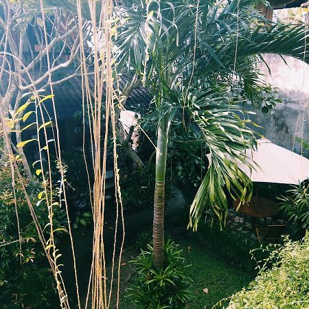 Nani House 2 Ubud Exterior foto